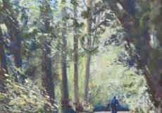 An Early Morning Walk in the Forest of Dean near Hope mansel