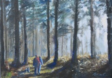 An-early-morning-walk-in-the-Forest