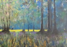 Dawn-in-the-Royal-Forest