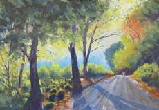 Early Morning in the Forest near Hope Mansel