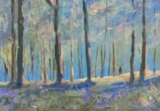 Early-Morning-in-the-Forest-of-Dean