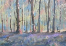 Early-Morning-in-the-Forest-of-Dean-2