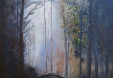 Early morning in the woods nearRuardean Woodside