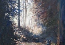 Forest Boar