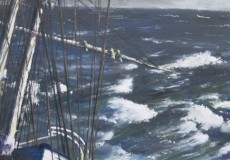 In-the-Roaring-Forties