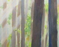 Light-in-the-Forest