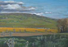 May-Hill-seen-from-Linton-Ridge