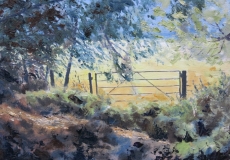 Morning LIght