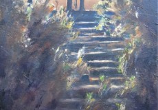 The-steps-at-Pwyl-Y-Wrach-in-the-Black-Mountains