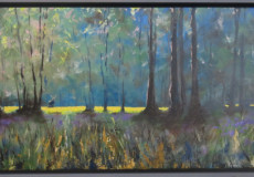 The-watcher-in-the-woods
