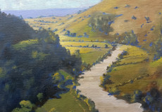 A view of Symonds Yat