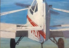 From the glider pilots point of view.