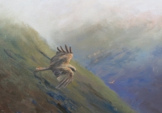 Looking for breakfast in the Black Mountains, oil, 20x16 ins