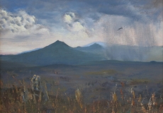 Running from the storm