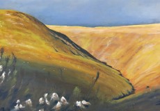 Sunset on the Black Mountains from Talgarth Airfield, oil, 24 x 18 inches.