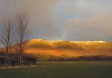 bmgc-evening-glow