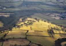 evening-light-on-fields-near-bmgc