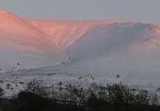stitch-of-snowy-bm-at-sunset-2