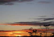 task-week-sunset-at-bmgc_img