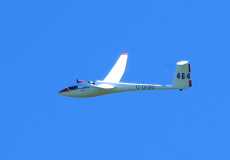 wing-curve-on-464